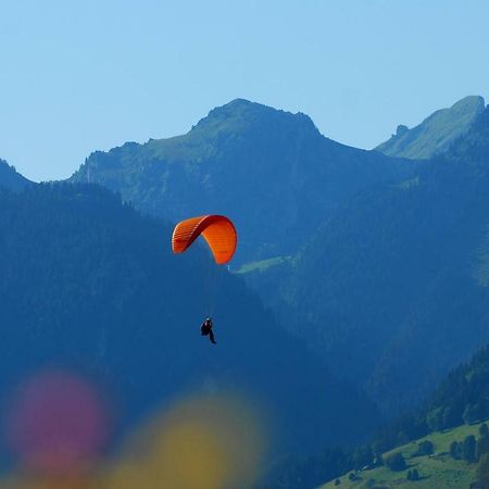 Chalet Clos Moccand Samoëns Kültér fotó